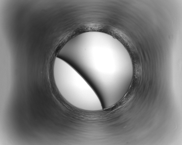 X0000098170451200804241013