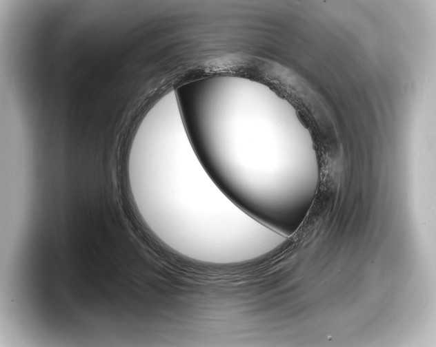 X0000098170452200804241013