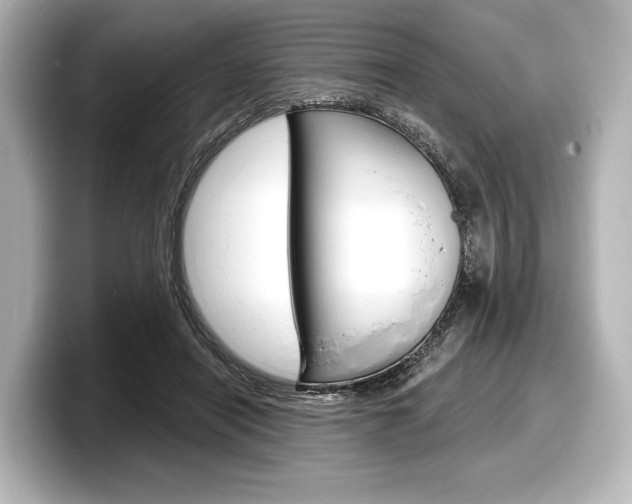 X0000098170454200804241013