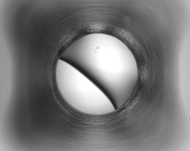 X0000098170455200804241013
