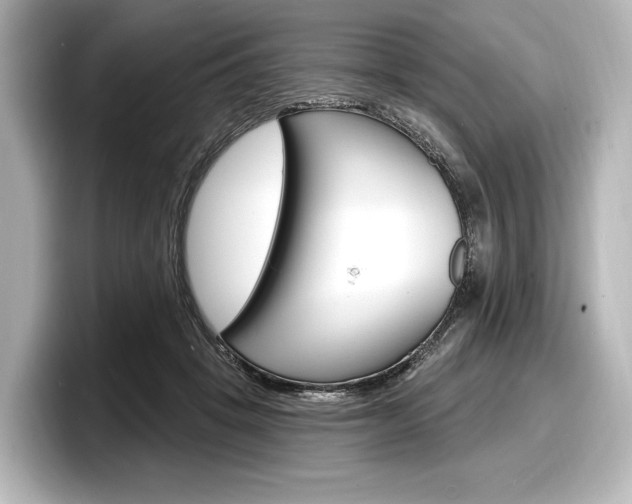 X0000098170457200804241013