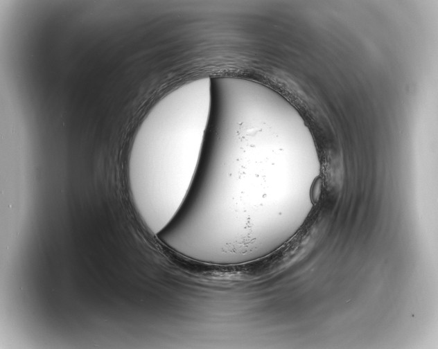 X0000098170458200804241013