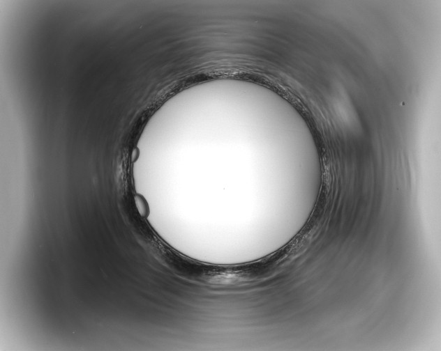 X0000098170460200804241013