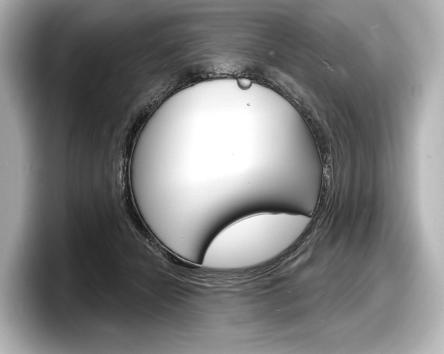 X0000098170462200804241013