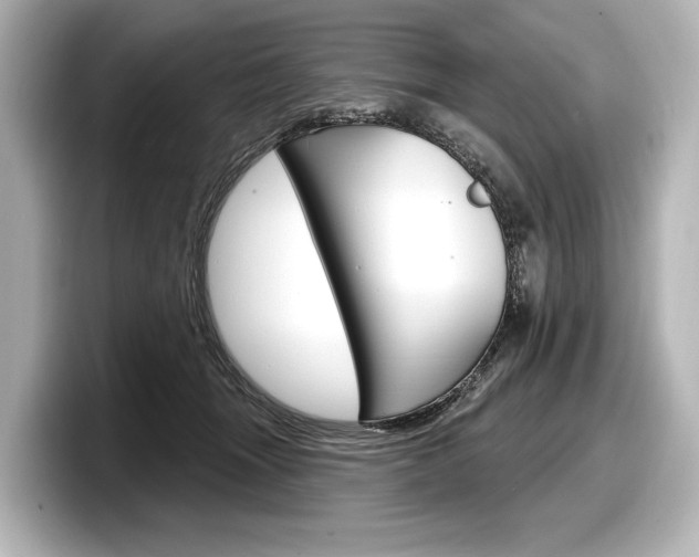 X0000098170463200804241013