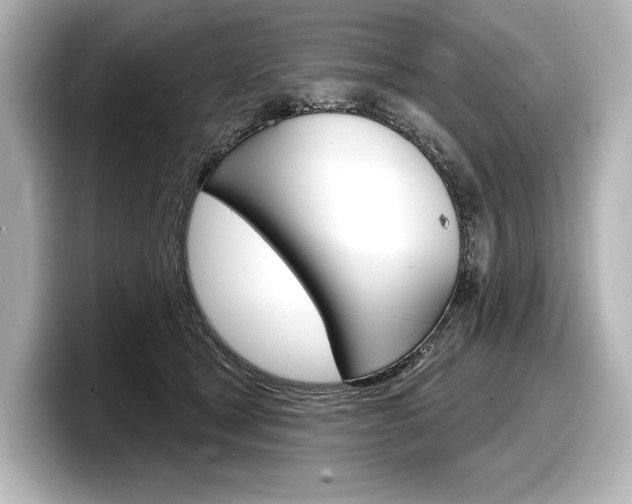 X0000098170465200804241013