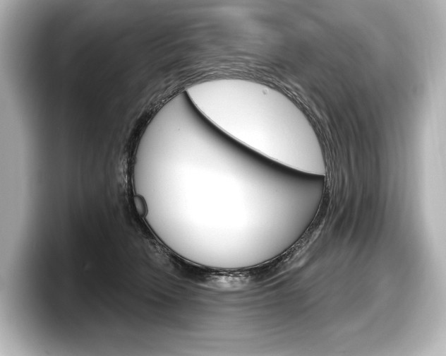 X0000098170466200804241013