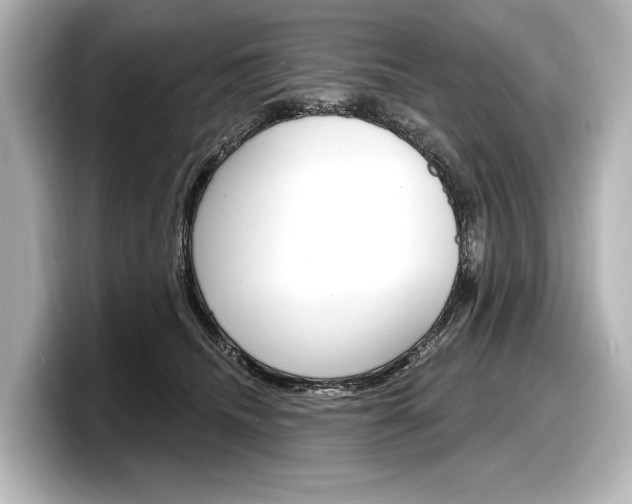X0000098170468200804241013