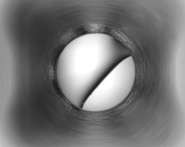 X0000098170469200804241013