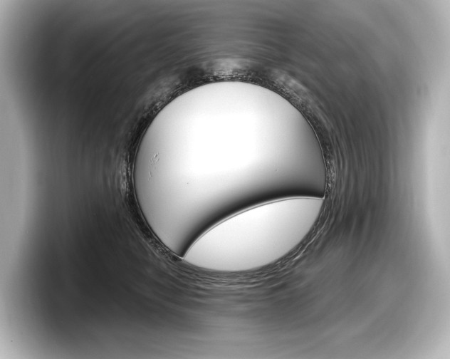 X0000098170470200804241013