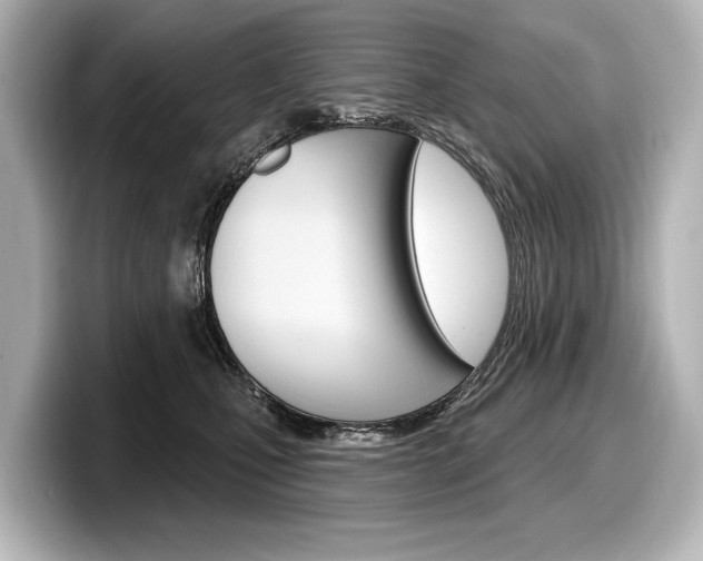 X0000098170471200804241013