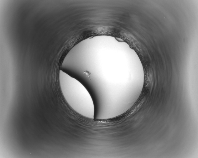 X0000098170473200804241013