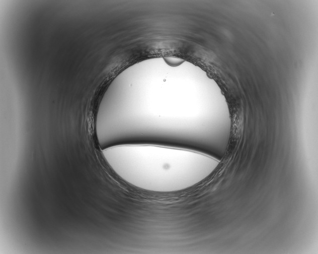 X0000098170474200804241013