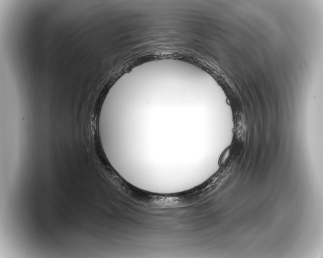 X0000098170476200804241013