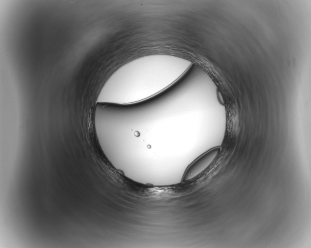 X0000098170477200804241013
