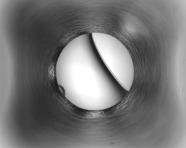 X0000098170479200804241013