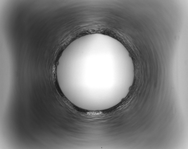 X0000098170480200804241013
