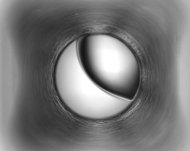 X0000098170481200804241013