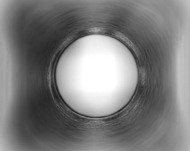 X0000098170482200804241013