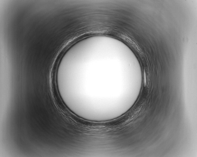 X0000098170483200804241013