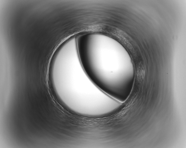 X0000098170484200804241013