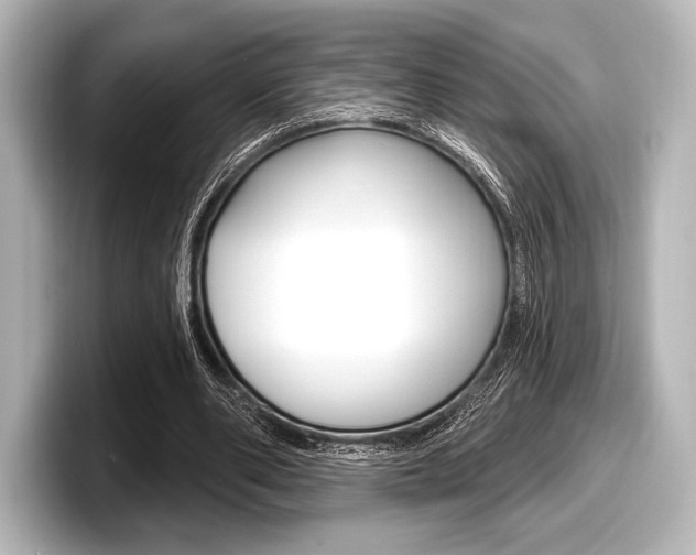 X0000098170486200804241013