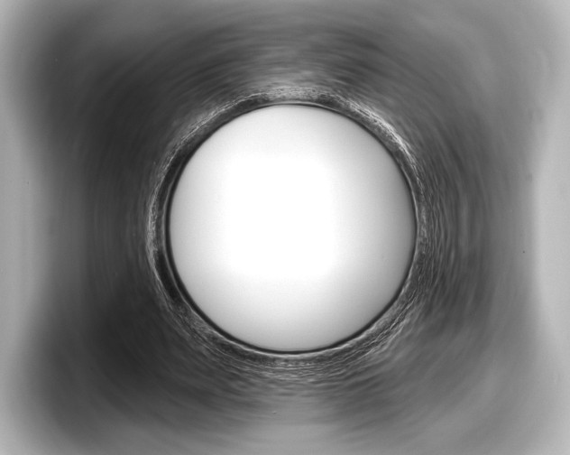 X0000098170487200804241013