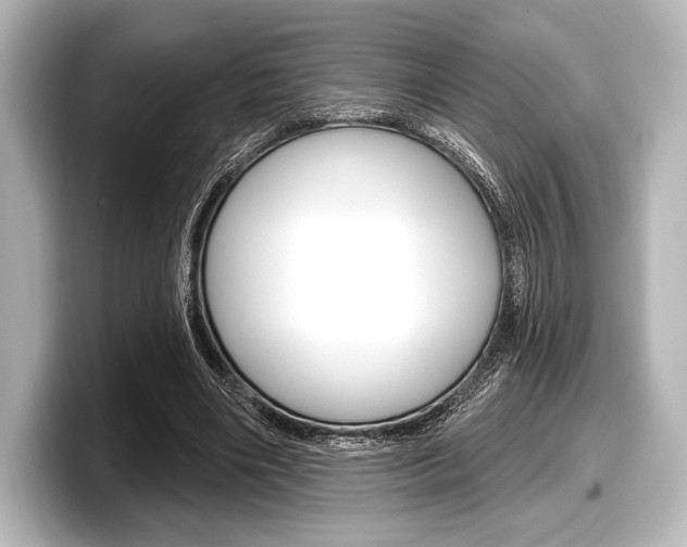 X0000098170490200804241013
