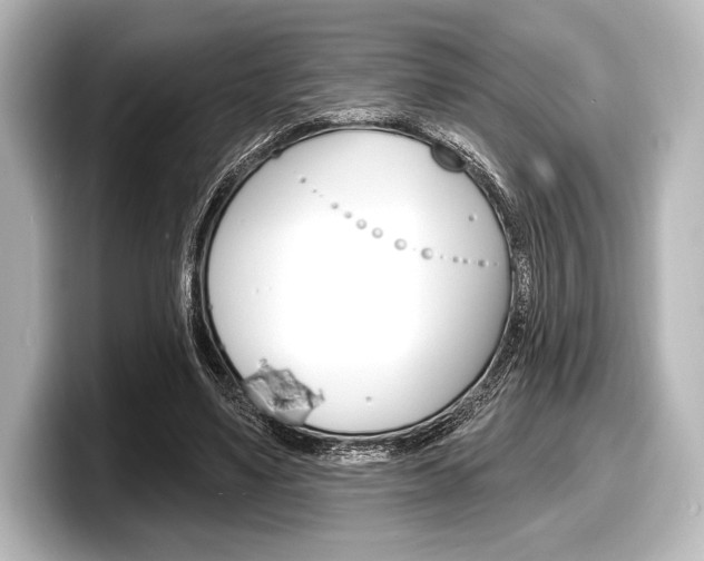 X0000098170491200804241013