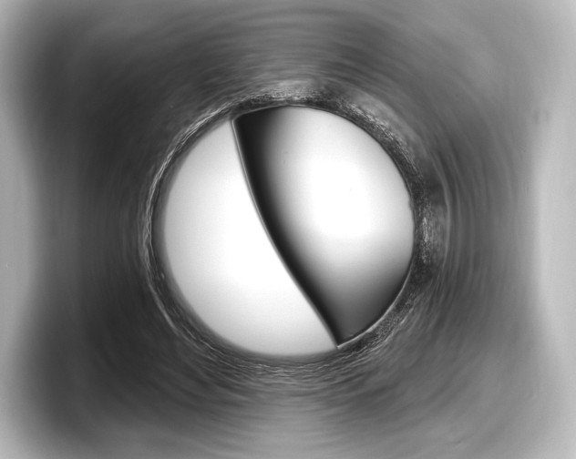 X0000098170492200804241013