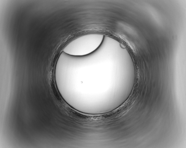 X0000098170495200804241013