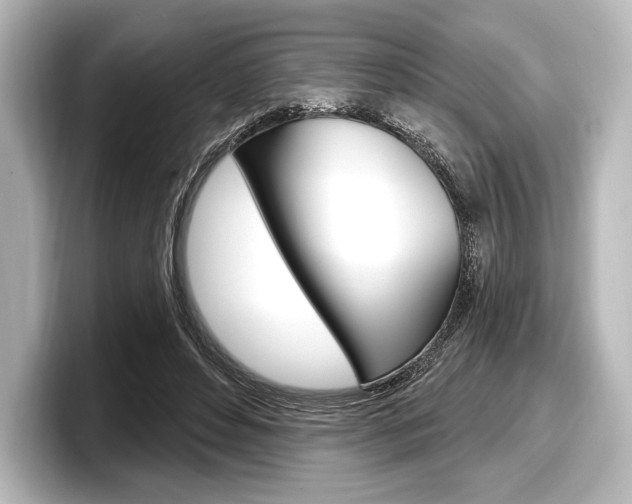 X0000098170496200804241013