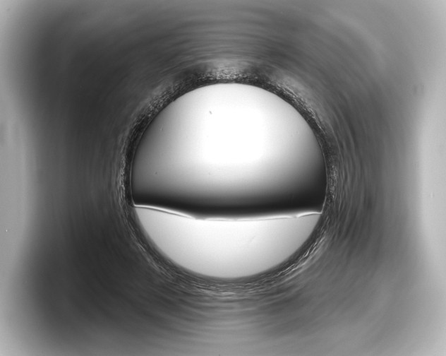 X0000098170497200804241012