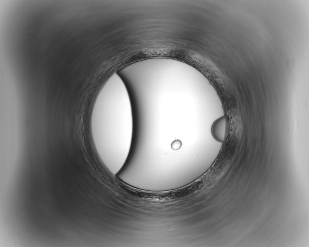 X0000098170498200804241012