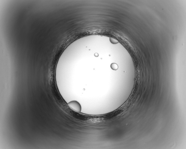 X0000098170499200804241012