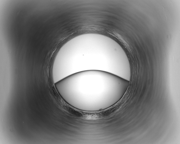 X0000098170500200804241012