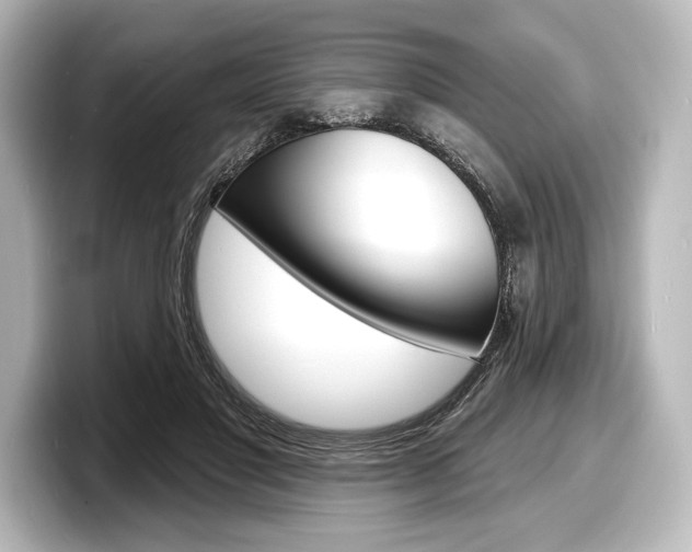 X0000098170501200804241012