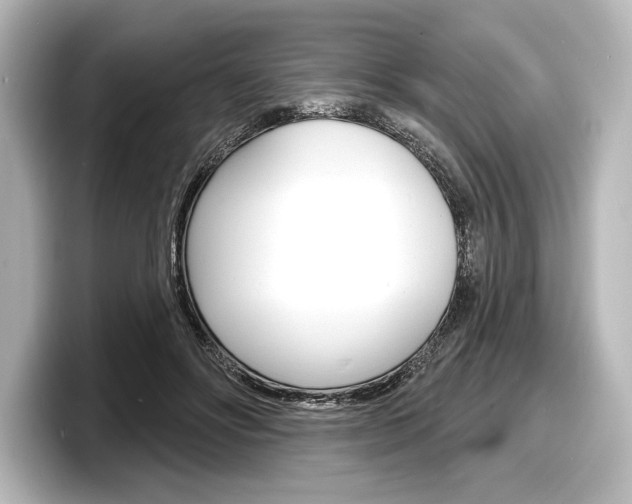 X0000098170502200804241012