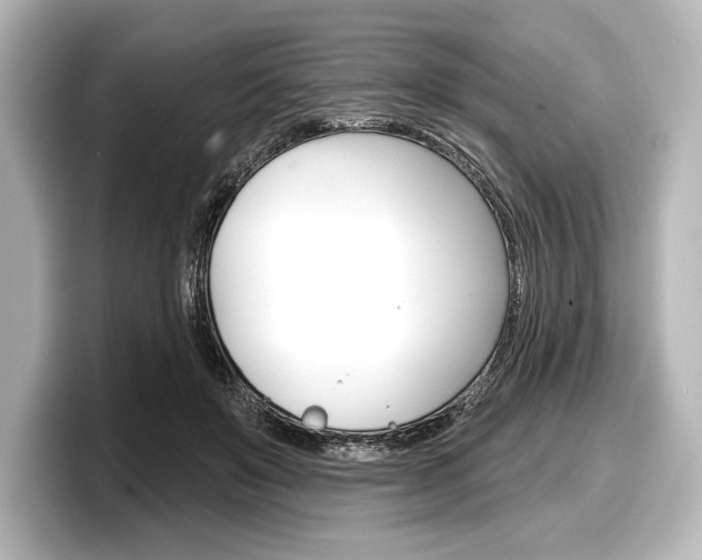X0000098170503200804241012