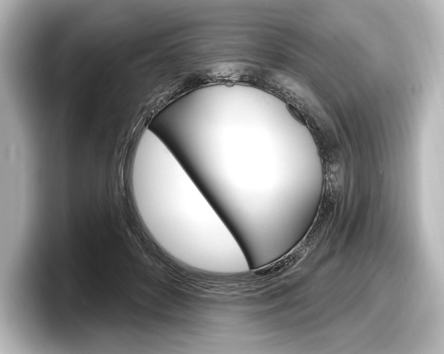 X0000098170504200804241012