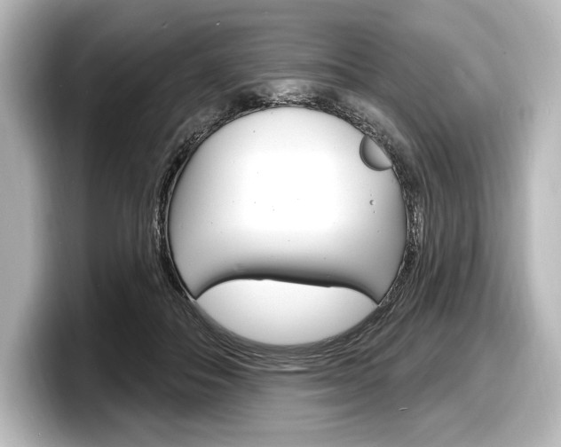 X0000098170506200804241012