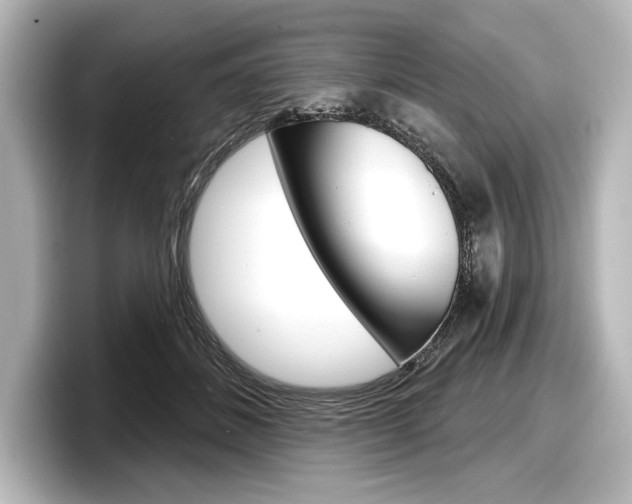 X0000098170508200804241012