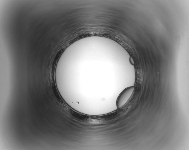 X0000098170510200804241012