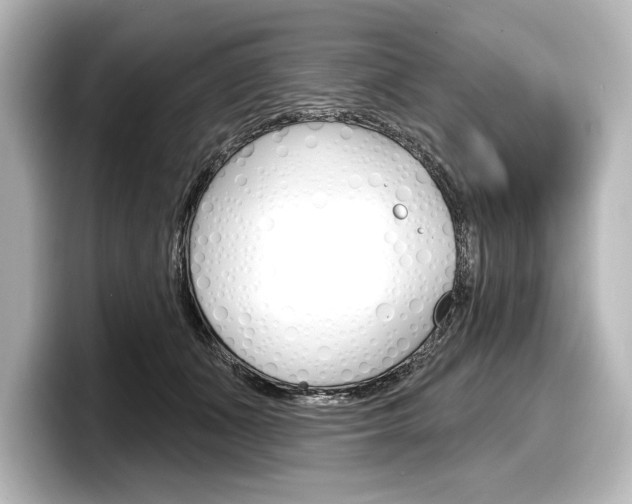 X0000098170511200804241012