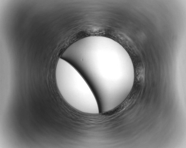 X0000098170515200804241012