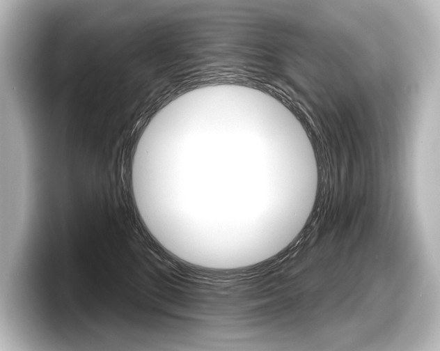 X0000098170520200804241012