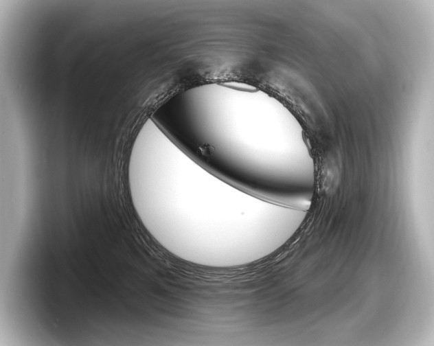 X0000098170521200804241012