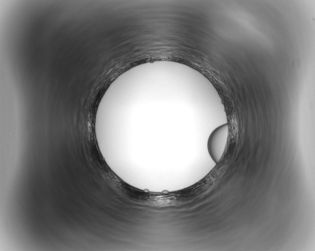 X0000098170522200804241012