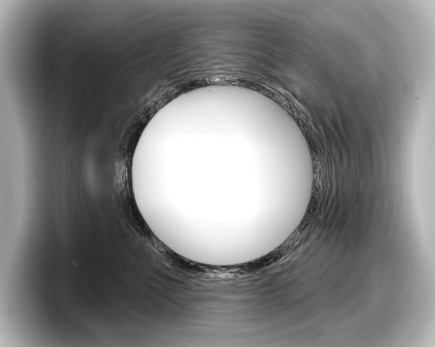 X0000098170523200804241012