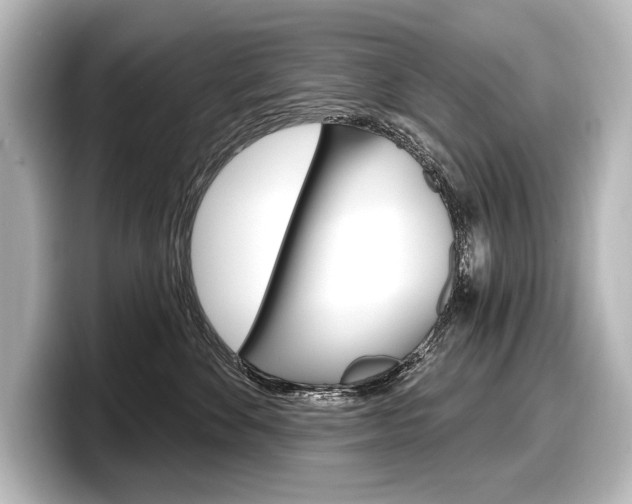 X0000098170524200804241012